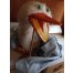 grannygooseusedbluecoat